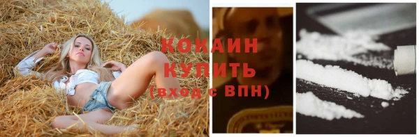 винт Аркадак