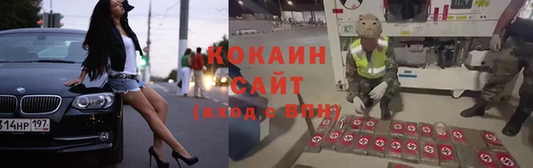 винт Аркадак
