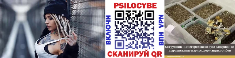 мориарти какой сайт  Валдай  Галлюциногенные грибы Psilocybe  ОМГ ОМГ ССЫЛКА 