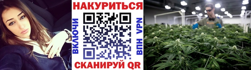Канабис конопля цена наркотик Валдай
